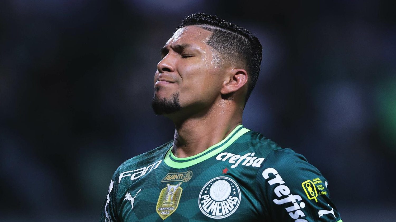 Rony Palmeiras