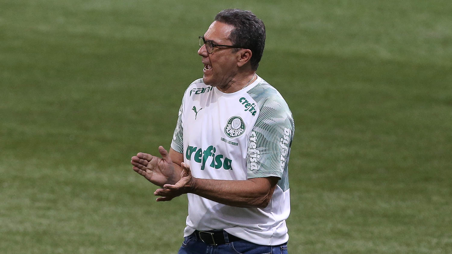 Vanderlei Luxemburgo