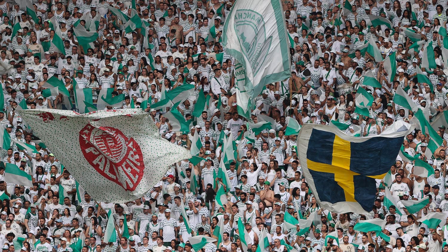 Palmeiras