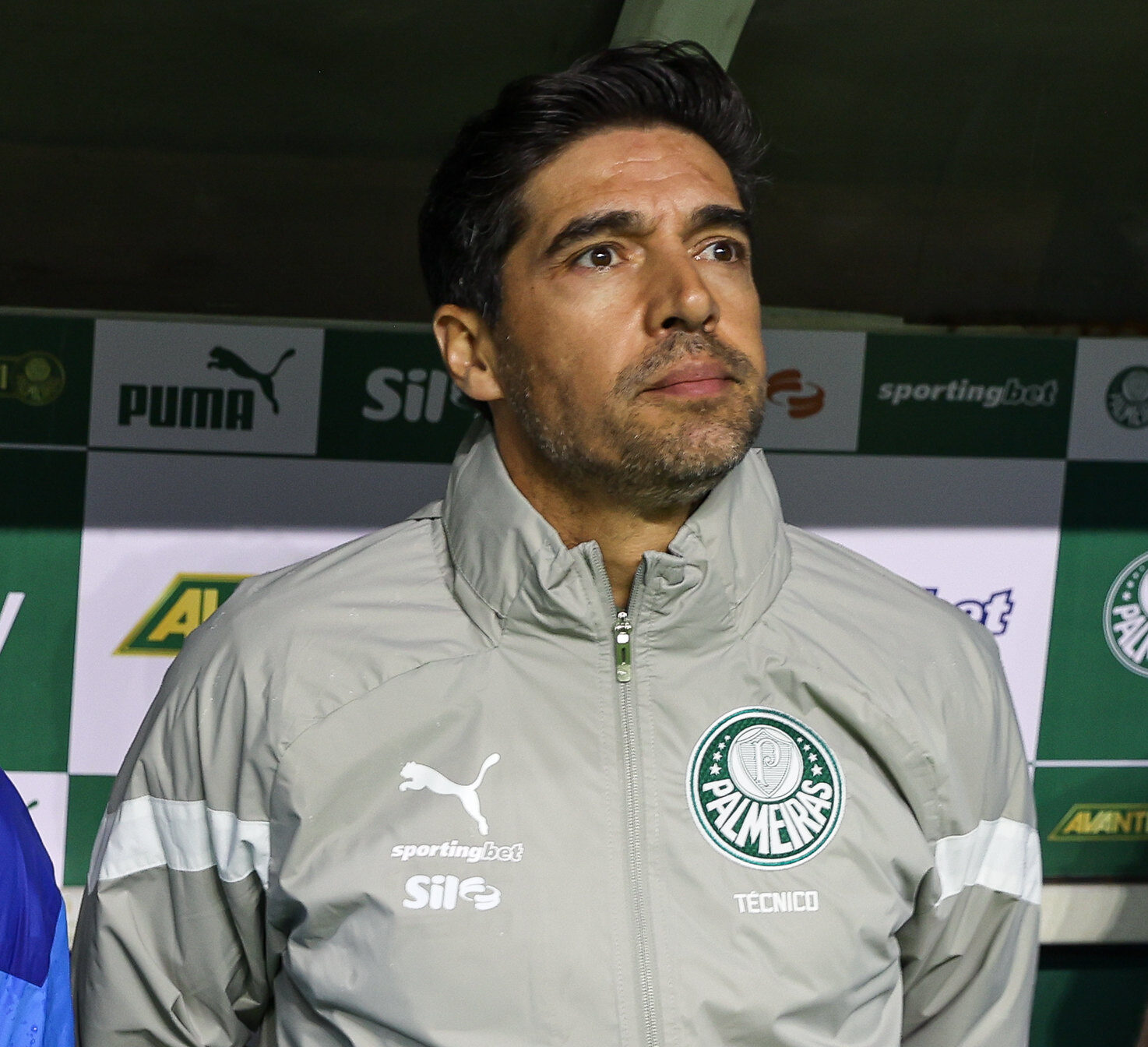 Abel Ferreira