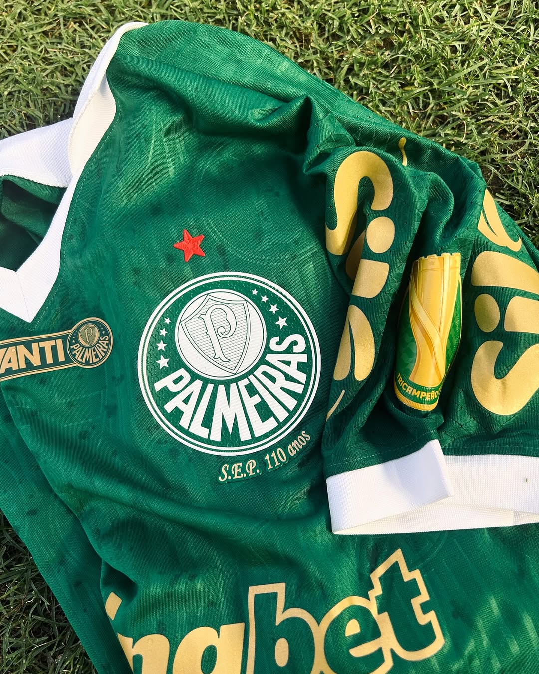 Palmeiras