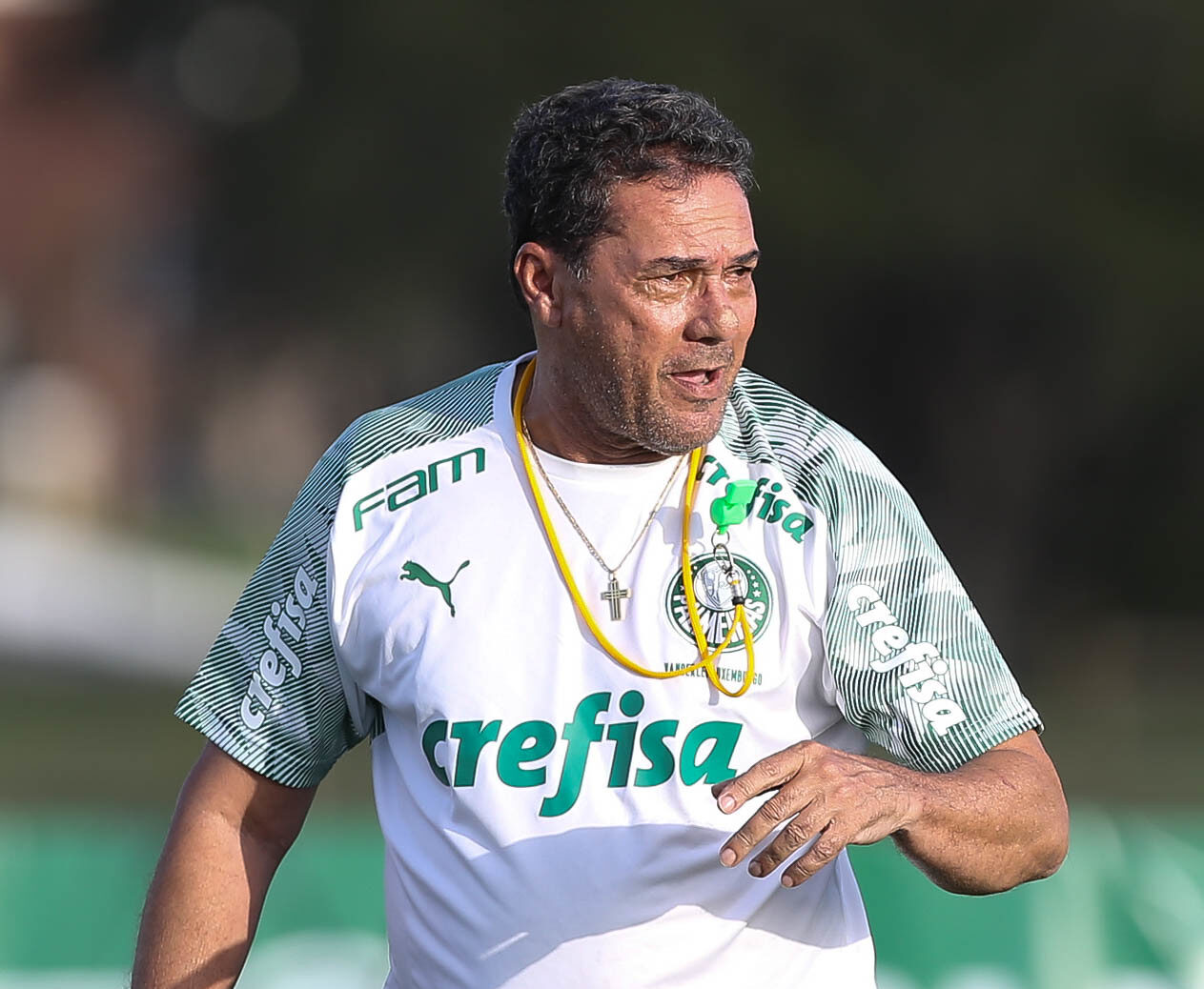 Vanderlei Luxemburgo assina contrato com grandão paulista com uma condição: Só trabalha uma vez na semana 10 Vanderlei Luxemburgo assina contrato com grandão paulista com uma condição: Só trabalha uma vez na semana