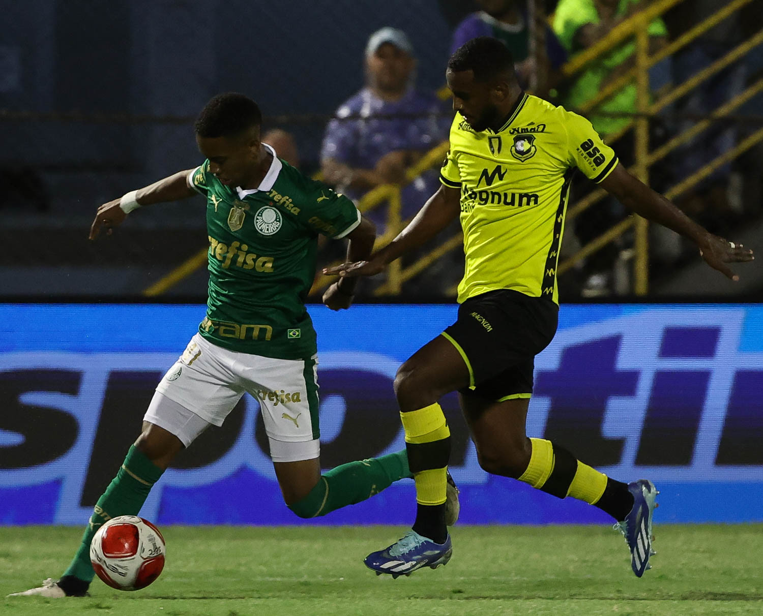 Palmeiras x São Bernardo