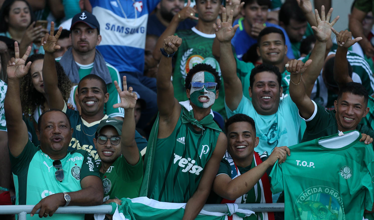 Palmeiras
