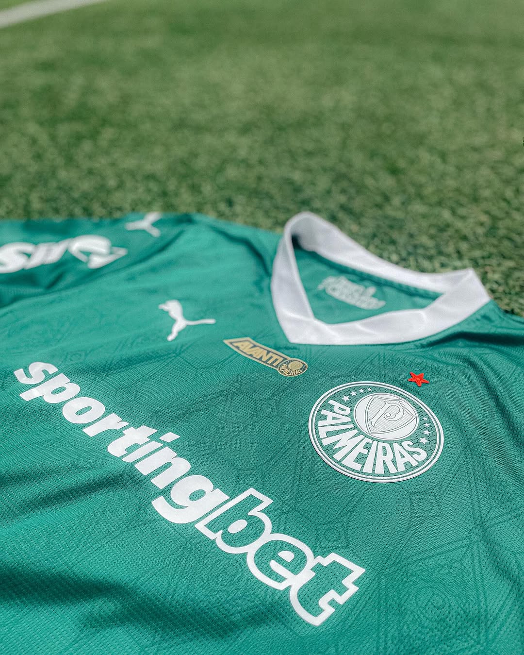 Deixou o Palmeiras e agora assinou com clube sem divisão no Brasil 7 Deixou o Palmeiras e agora assinou com clube sem divisão no Brasil