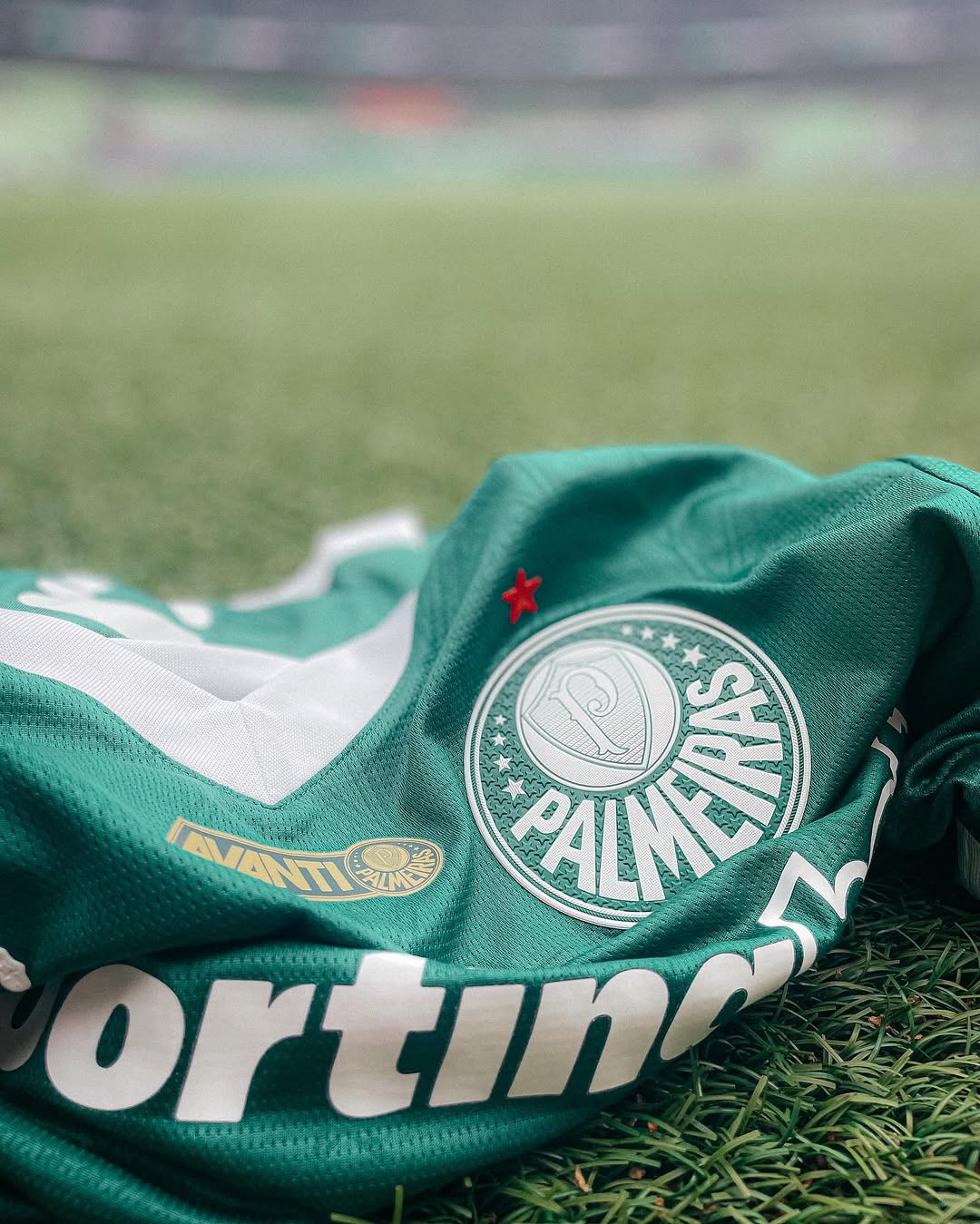 Palmeiras