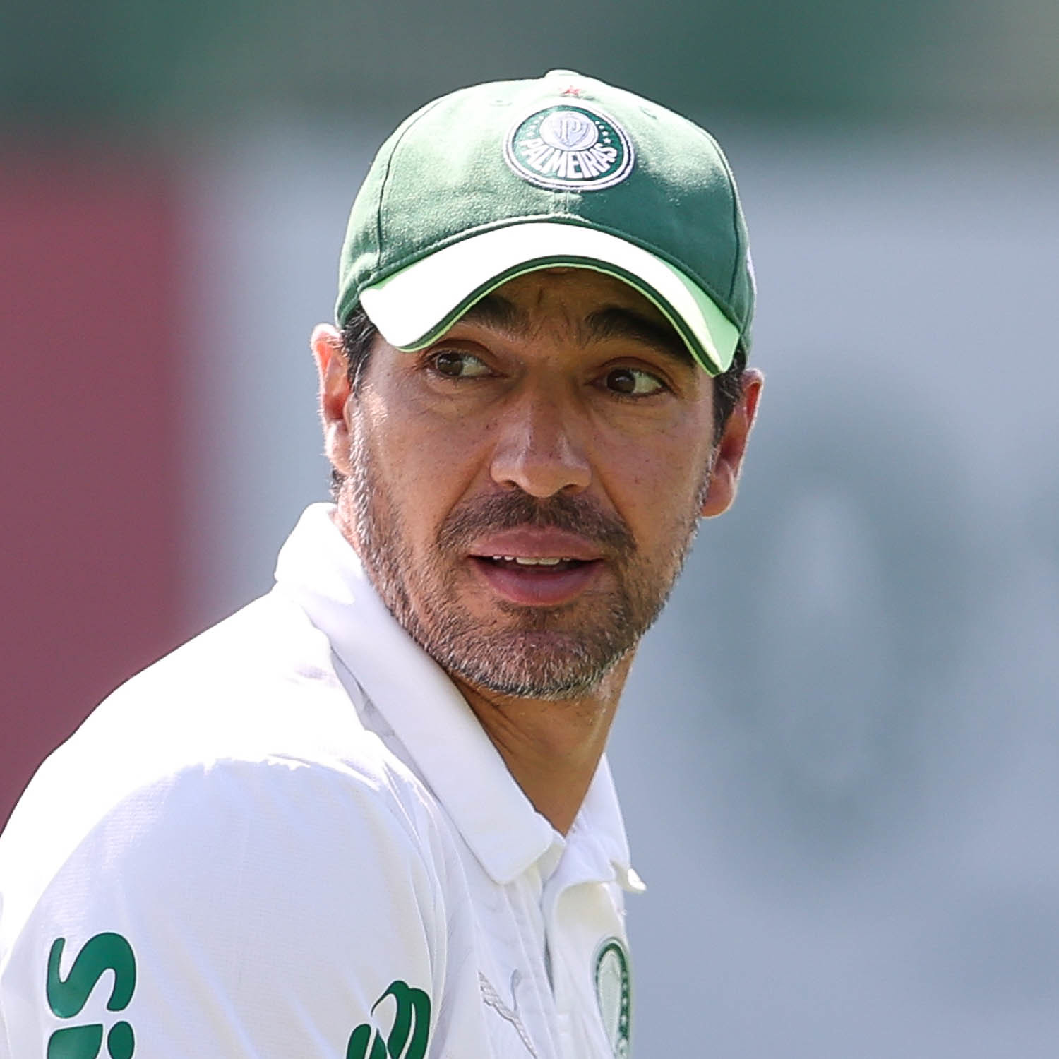 Palmeiras