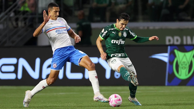 (Foto: Cesar Greco/Palmeiras)