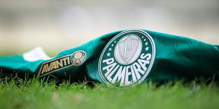 Já colocou o Palmeiras no bolso e agora foi mandado embora 1 Palmeiras
