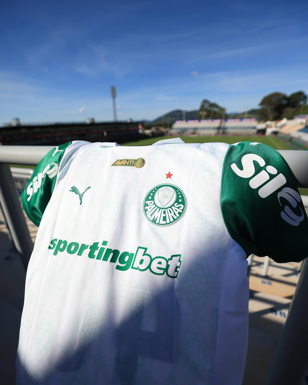 Palmeiras