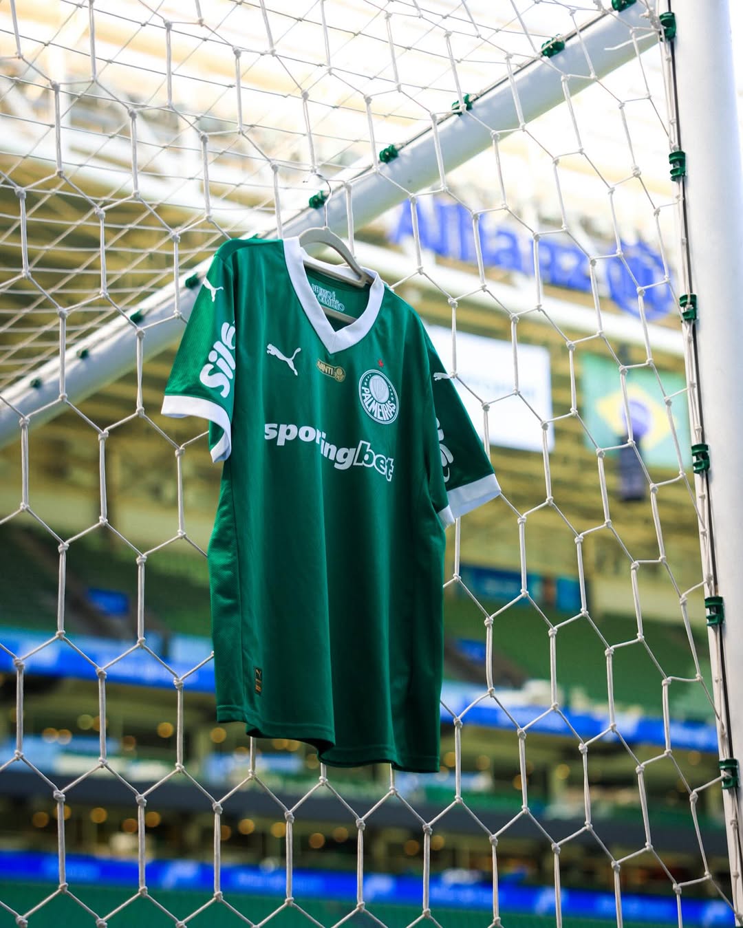 Palmeiras