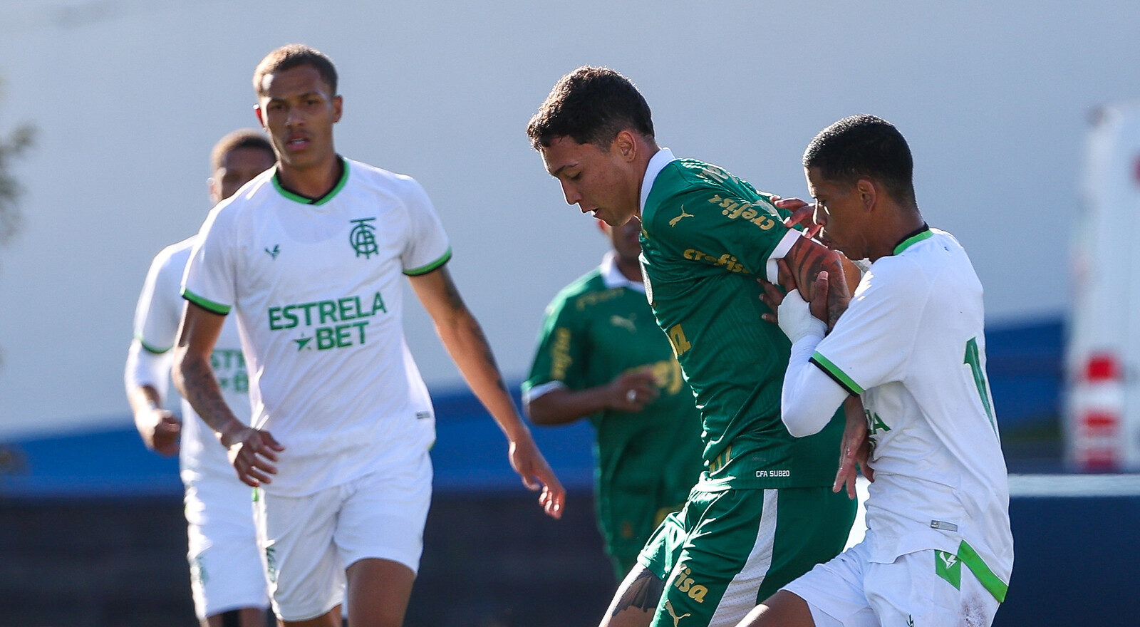 Palmeiras x América-MG pelo Brasileirão Sub-20: onde assistir ao vivo? 1 Palmeiras x América-MG pelo Brasileirão Sub-20: onde assistir ao vivo?