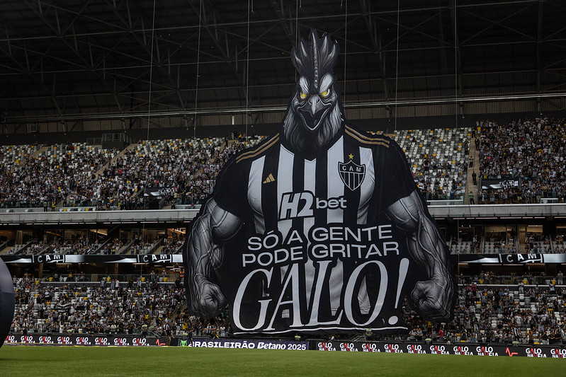 image para ilustrar o artigo
