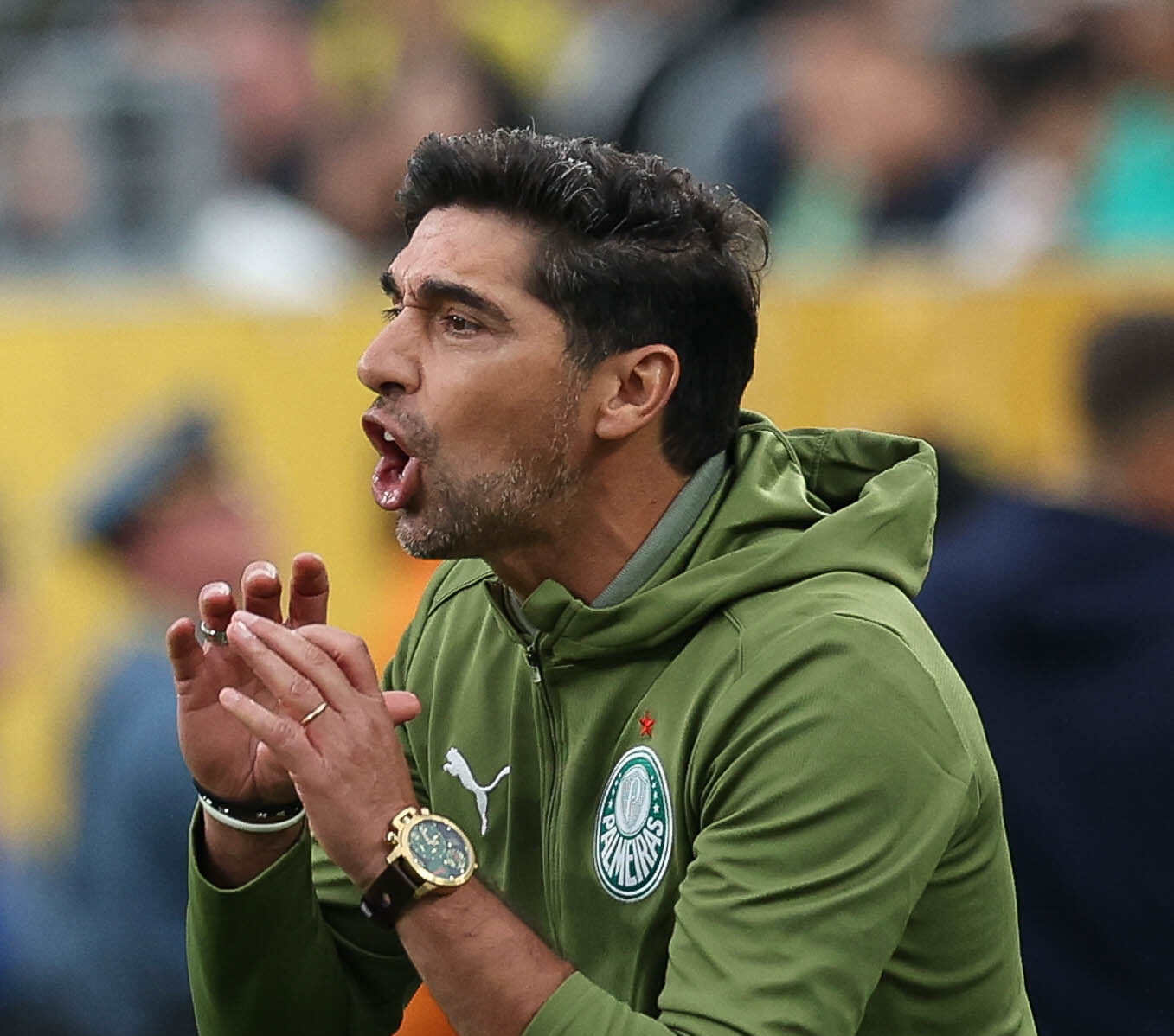 Abel Ferreira