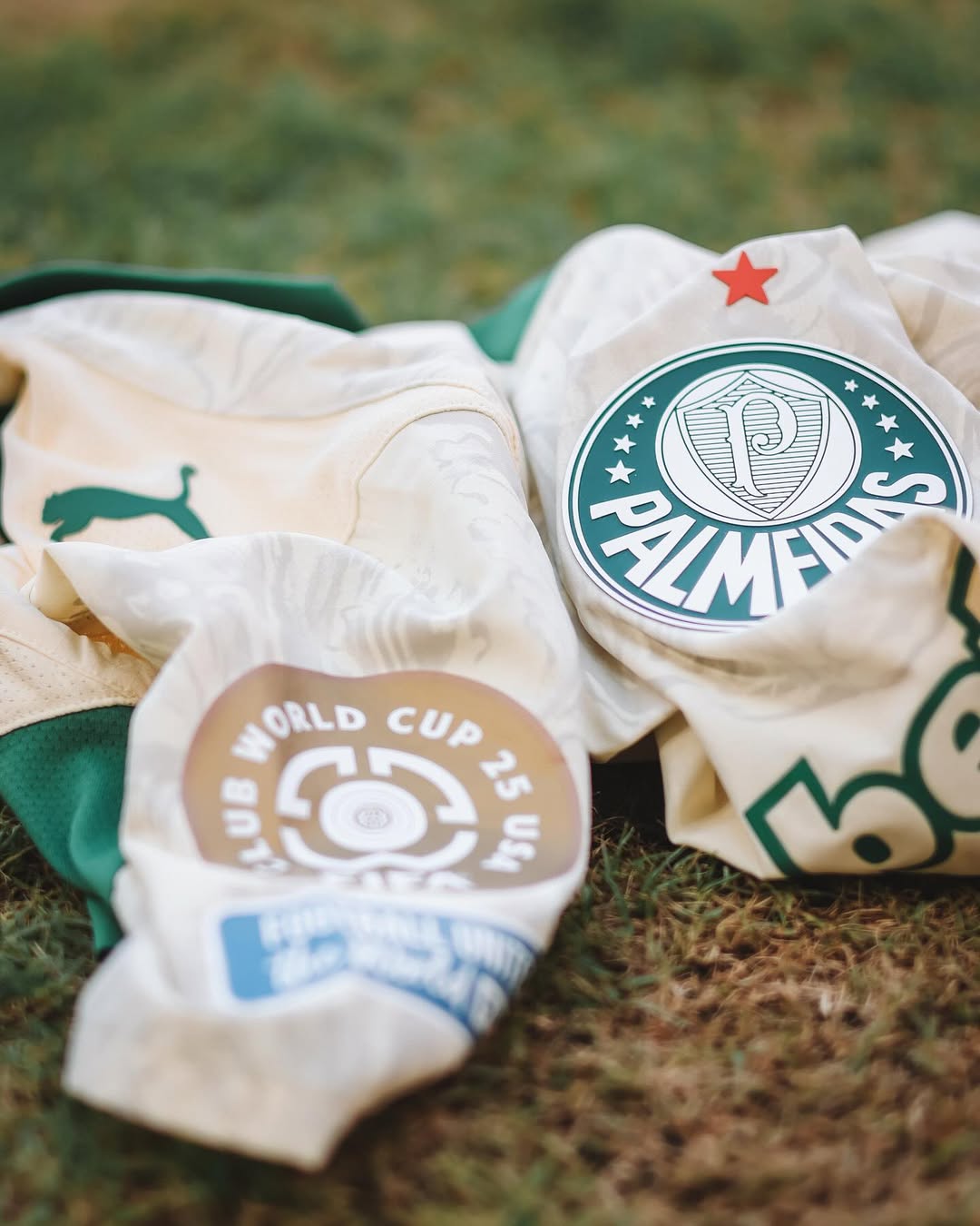 Palmeiras