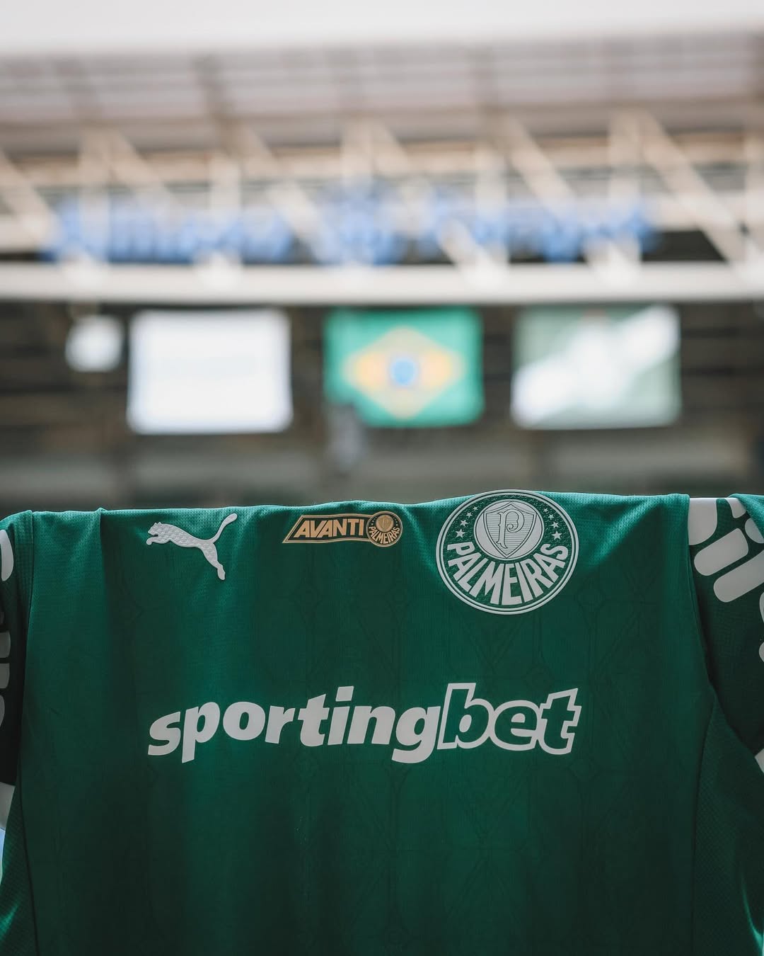 Palmeiras