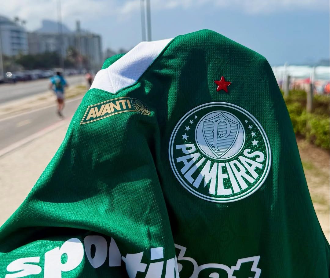 Ídolo do Palmeiras é o 2º jogador com mais cartões no Brasil 8 Ídolo do Palmeiras é o 2º jogador com mais cartões no Brasil