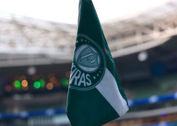 Palmeiras