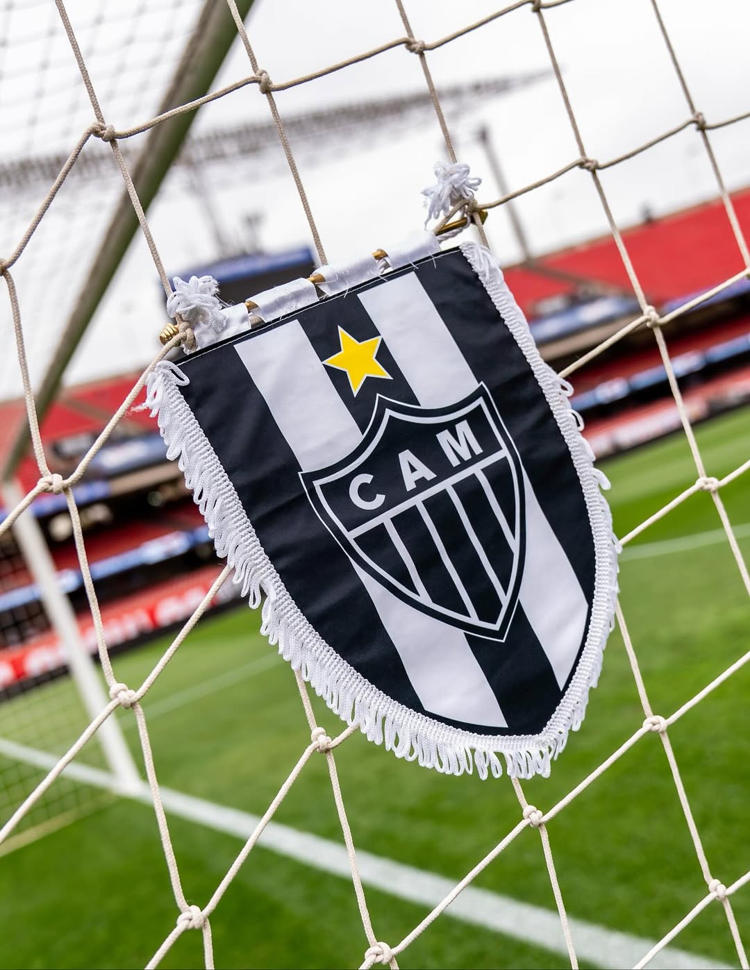 Galo