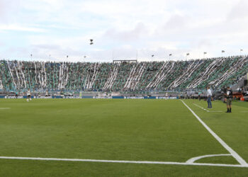 A torcida da SE Palmeiras, em jogo contra a equipe do CR Flamengo, durante partida final, da Copa Libertadores, no Estádio Centenário. (Foto: Cesar Greco)