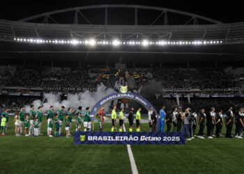 O time da SE Palmeiras, em jogo contra a equipe do Botafogo FR, durante partida válida pela vigésima rodada, do Campeonato Brasileiro, Série A, no Esteadio Nilton Santos. (Foto: Cesar Greco/Palmeiras/by Canon)