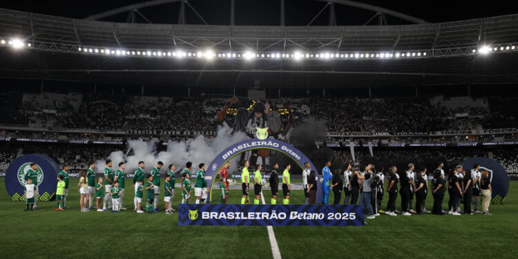 O time da SE Palmeiras, em jogo contra a equipe do Botafogo FR, durante partida válida pela vigésima rodada, do Campeonato Brasileiro, Série A, no Esteadio Nilton Santos. (Foto: Cesar Greco/Palmeiras/by Canon)