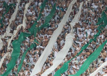 A torcida da SE Palmeiras, em jogo contra a equipe do São Paulo FC, durante partida válida pela trigésima terceira rodada, do Campeonato Brasileiro, Série A, na arena Allianz Parque. (Foto: Cesar Greco)