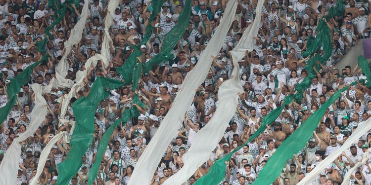 Treinador chamou repórter para completar treino no Palmeiras 1 A torcida da SE Palmeiras, em jogo contra a equipe do São Paulo FC, durante partida válida pela trigésima terceira rodada, do Campeonato Brasileiro, Série A, na arena Allianz Parque. (Foto: Cesar Greco)