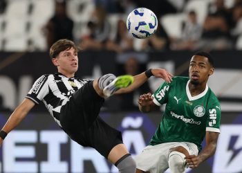 O jogador Allan, da SE Palmeiras, disputa bola com o jogador do Botafogo FR, durante partida válida pela vigésima rodada, do Campeonato Brasileiro, Série A, no Esteadio Nilton Santos. (Foto: Cesar Greco/Palmeiras/by Canon)