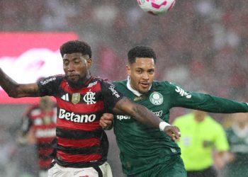 Créditos: Cesar Greco / Palmeiras