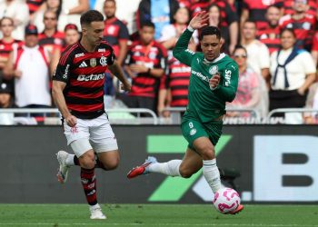 Créditos: Cesar Greco / Palmeiras