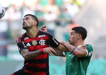 Créditos: Cesar Greco / Palmeiras