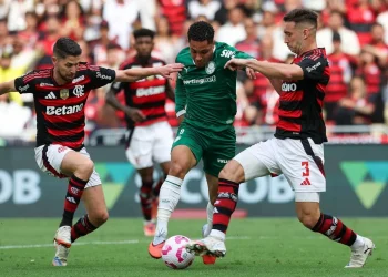 Créditos: Cesar Greco/Palmeiras