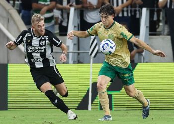 Créditos: Cesar Greco/Palmeiras