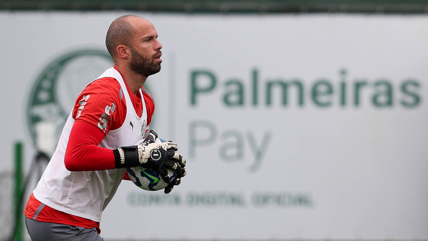 Salário de Marcelo Lomba, que está renovando com o Palmeiras, é baixo para um jogador do Verdão 2 Salário de Marcelo Lomba, que está renovando com o Palmeiras, é baixo para um jogador do Verdão