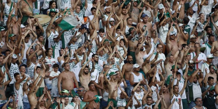 Palmeiras pode ganhar o Rei da América 2025 1 Créditos: depositphotos.com / thenews2.com