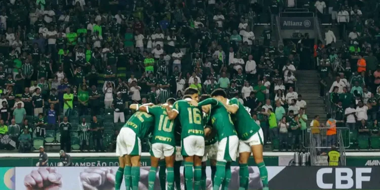 Créditos: Divulgação / Palmeiras