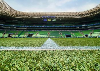 Créditos: Divulgação/SE Palmeiras/Cesar Greco