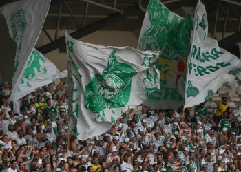 Créditos: Cesar Greco/Palmeiras