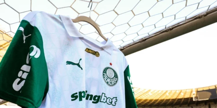 Créditos: Divulgação/Palmeiras