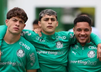 Créditos: Cesar Greco / Palmeiras