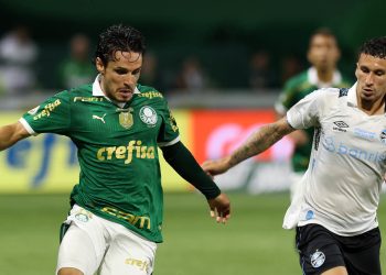 Créditos: Cesar Greco / Palmeiras
