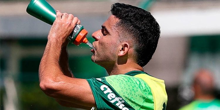 Créditos: Cesar Greco / Palmeiras