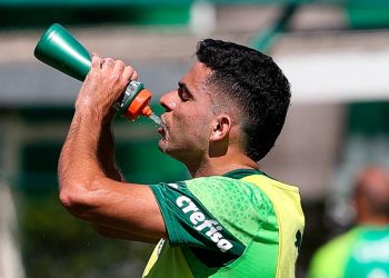 Créditos: Cesar Greco / Palmeiras