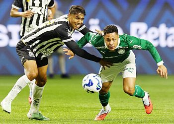 Créditos: Cesar Greco / Palmeiras