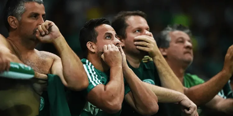 Meio-campista xodó do Palmeiras decide assinar com time que acabou de chegar na Série A 1 Créditos: Divulgação