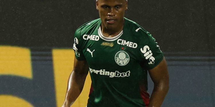 Créditos: Cesar Greco / Palmeiras