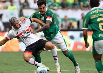 Créditos: Cesar Greco / Palmeiras