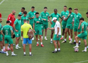Créditos: Cesar Greco/Palmeiras