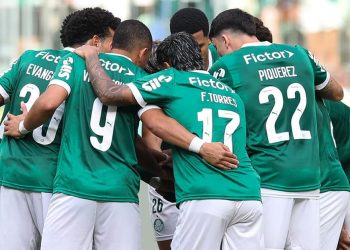 Créditos: Cesar Greco / Palmeiras
